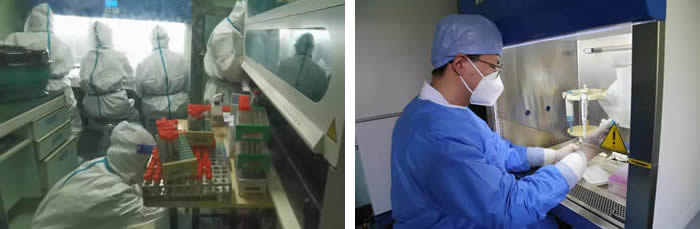 1649686507791335.jpg 2.jpg