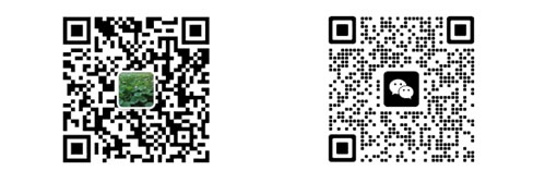 1671848656989999.jpg 圖片1.jpg