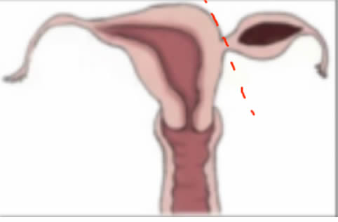 1705989417682349.jpg 1705989417682349.jpg