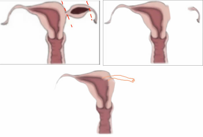 1705989434391064.jpg 640 (3).jpg