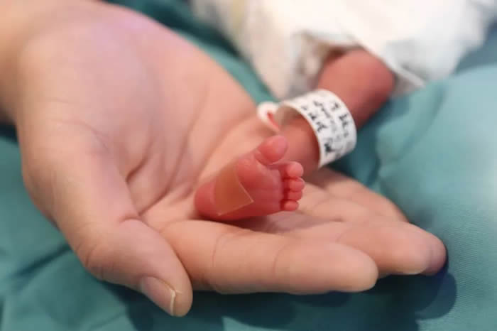 1709802467800951.jpg 640 (2).jpg