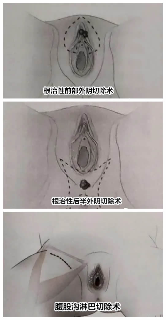 1715411983275775.jpg 微信圖片_20240511151455.jpg