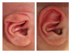 1717405739671174.jpg 微信圖片_20240603170148.jpg