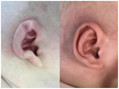 1717405765553255.jpg 微信圖片_20240603170157.jpg