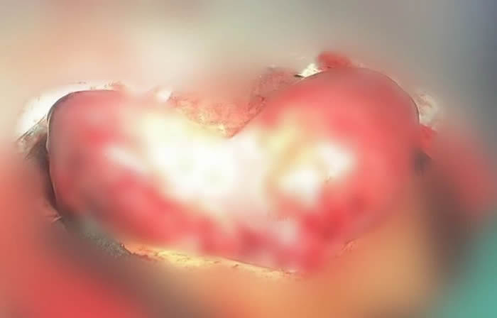 1729765098647474.jpg 微信圖片_20241024181416.jpg