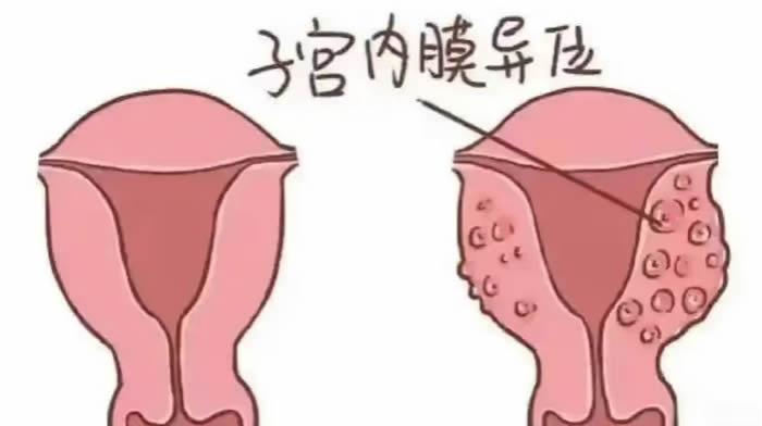 1751533459732766.jpg 微信(xìn)圖片_2025-07-03_165719_093.jpg